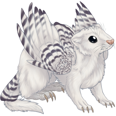 Snowy Owlret