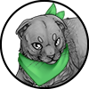 Bandanna Green Scottish Fold