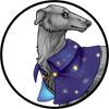 Midnight Wizard Cape Borzoi