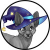 Midnight Wizard Hat Peterbald
